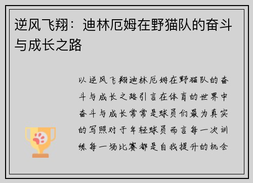 逆风飞翔：迪林厄姆在野猫队的奋斗与成长之路